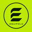 Coin Icon