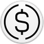 Coin Icon