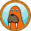 Coin Icon