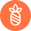 Coin Icon
