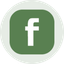 Coin Icon
