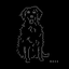 Coin Icon