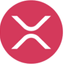 Coin Icon