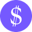 Coin Icon