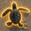 Coin Icon