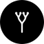 Coin Icon
