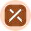Coin Icon