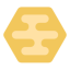 Coin Icon