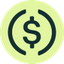 Coin Icon