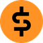 Coin Icon