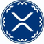 Coin Icon