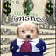 Coin Icon