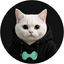 Coin Icon