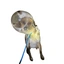 CHEESEDOG