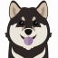 INU