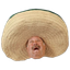 Coin Icon