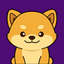 Coin Icon