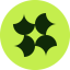 Coin Icon