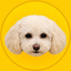 Coin Icon