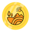 Coin Icon