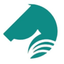 Coin Icon