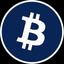 Coin Icon