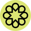 Coin Icon