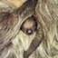 Coin Icon