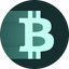 Coin Icon