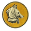 Coin Icon