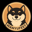 MFEST