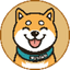 Coin Icon