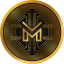 Coin Icon