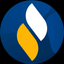 Coin Icon