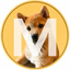 Coin Icon