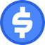 Coin Icon