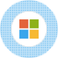 MSFTS