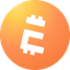 Coin Icon