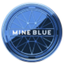 Coin Icon