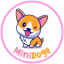 minidoge