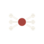 Coin Icon