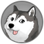 Coin Icon