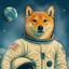 Coin Icon
