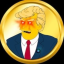 Coin Icon