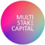 multi-stake-capital