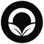 Coin Icon