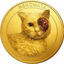 Coin Icon