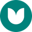 Coin Icon