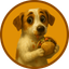 Coin Icon
