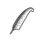 Coin Icon